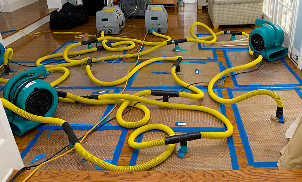 Professional Emergency Water Removal technician working in Waxahachie, TX